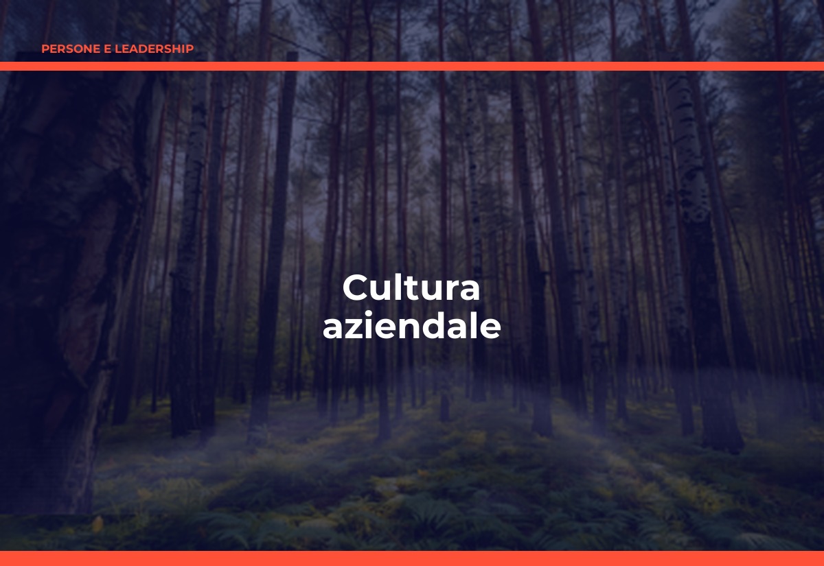 Cultura Aziendale: Cos'è, Come Costruirla e Come Misurarla