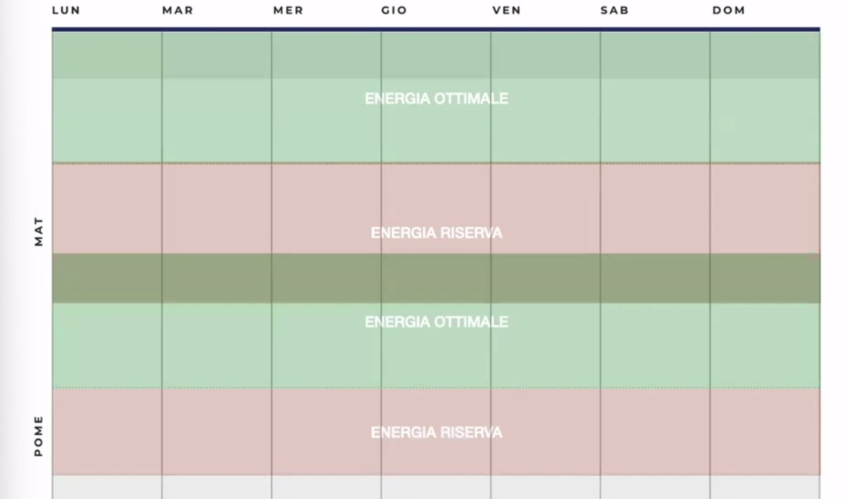 Weekly role planner split into morning and afternoon, with optimal-energy slots distinguished from reserve-energy slots
