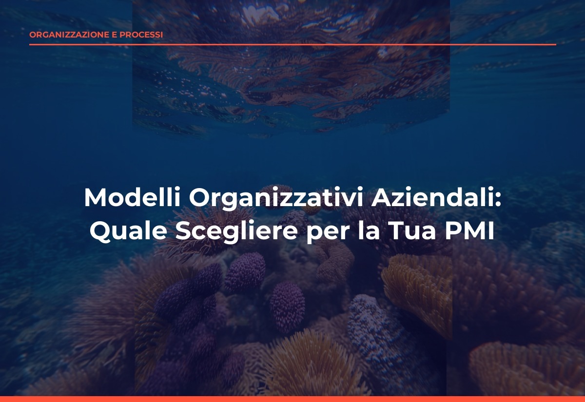 Modelli Organizzativi Aziendali: Quale Scegliere per la Tua PMI